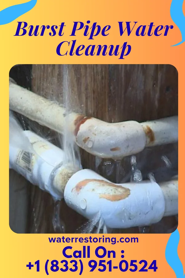 Burst Pipe Water Cleanup in Morrison, MO
