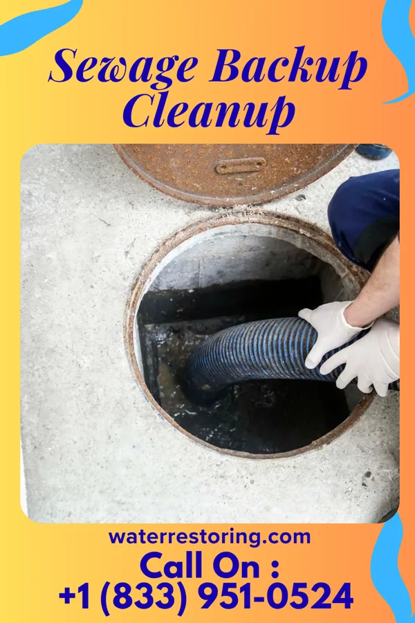 Sewage Backup Cleanup in Morrison, MO