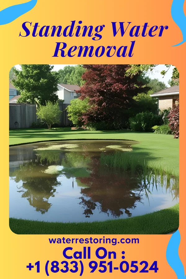 Standing Water Removal in Morrison, MO